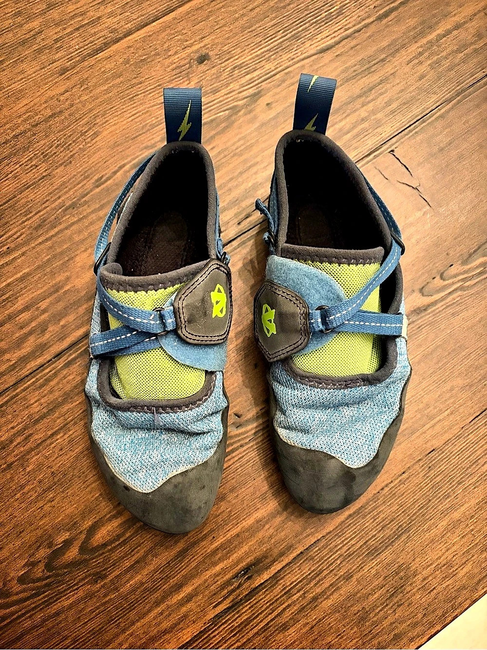 Evolv kids Climbing Shoes Blue
